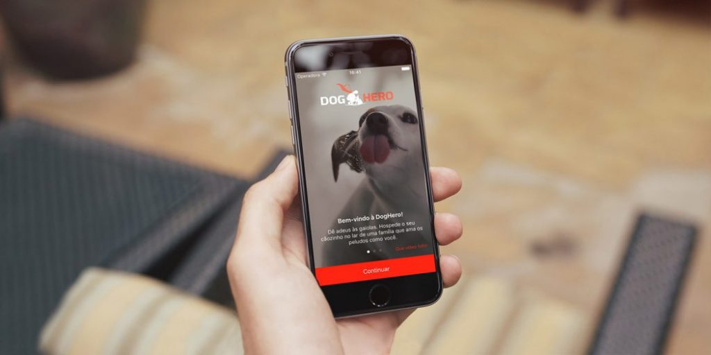  Existe un Airbnb para perros que ya funciona en México y te puede hacer ganar dinero