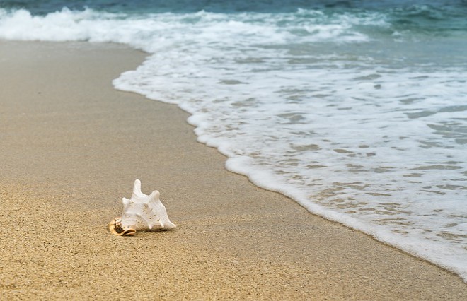  Estas son las playas que deberías evitar visitar en tus vacaciones