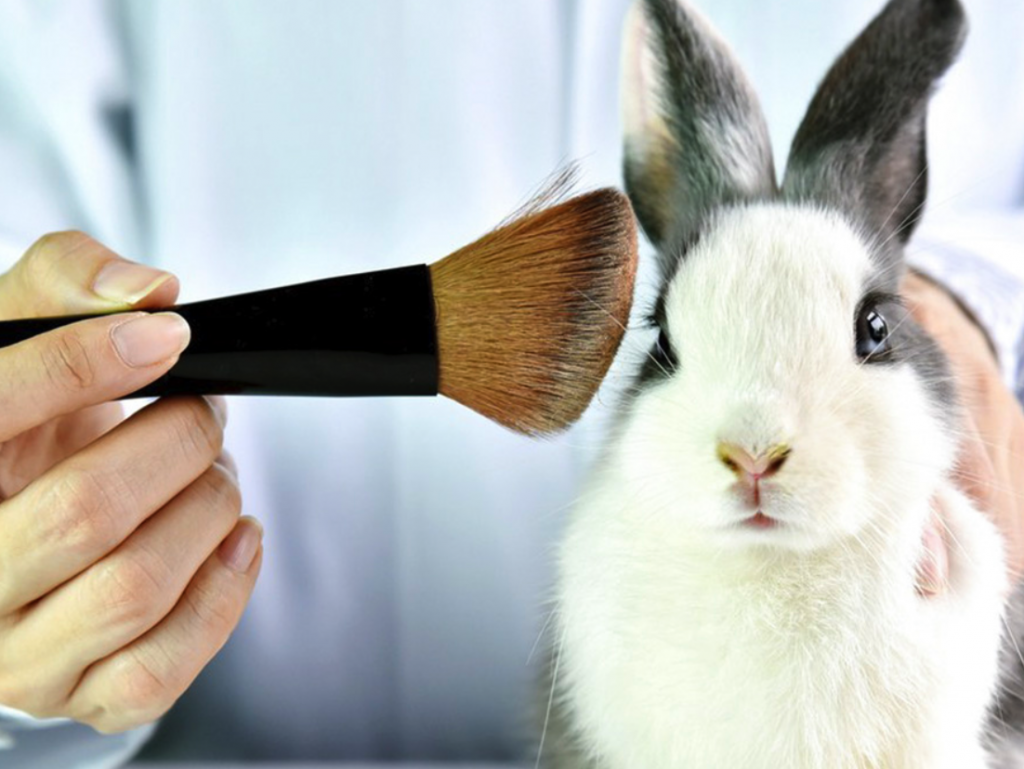  México es de los países con más experimentación en animales para cosmeticos