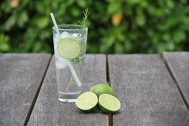  Tomar gin tonic te puede ayudar a verte menos viejx (y a tus articulaciones)