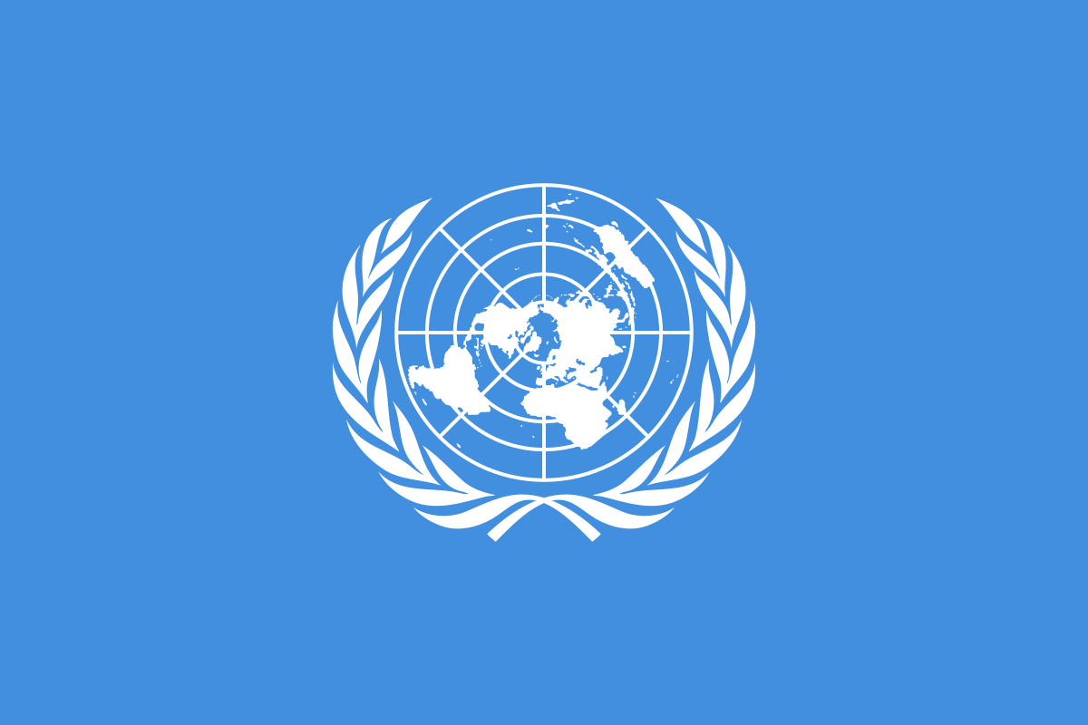 Seguridad de la ONU