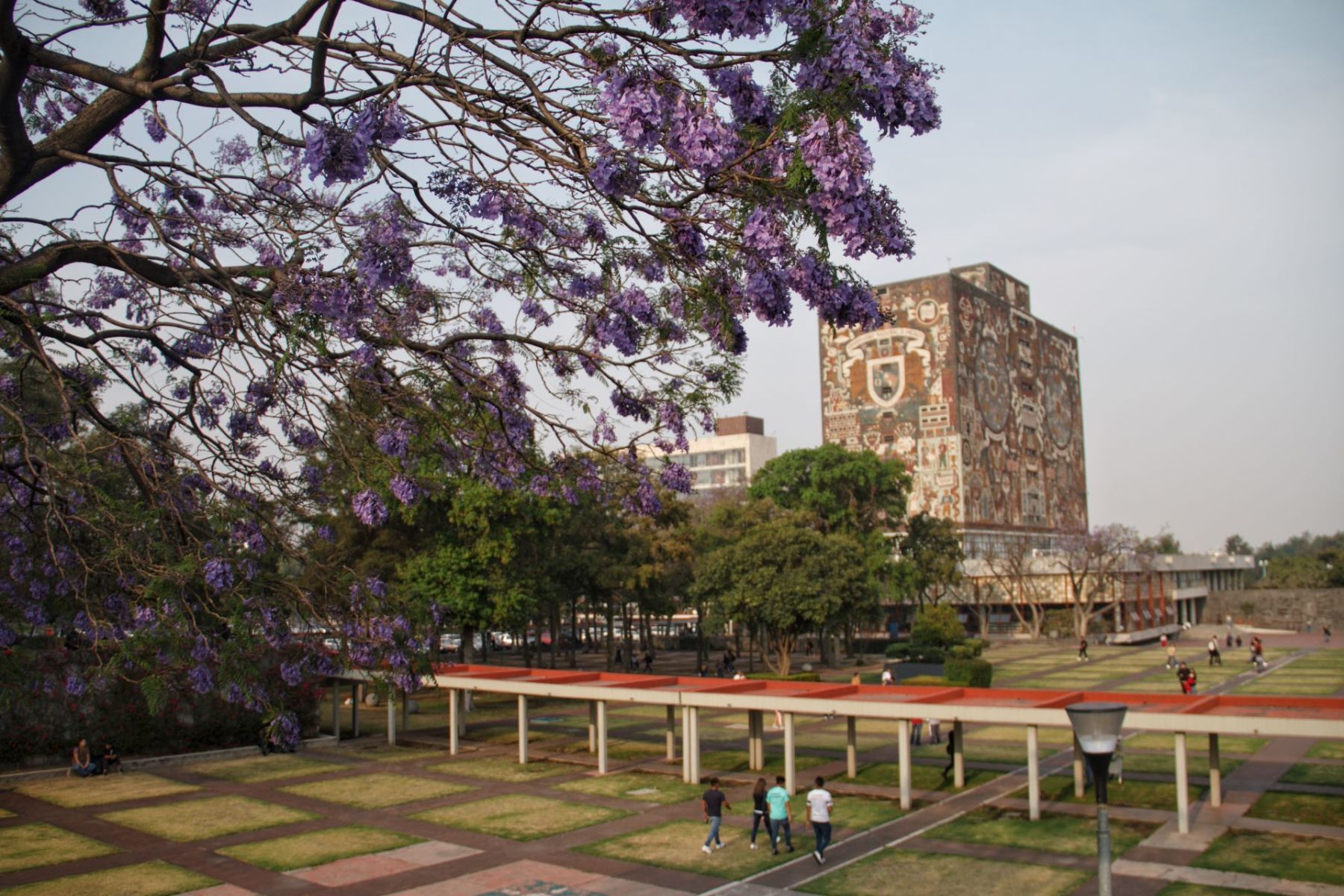 La UNAM lanzó hoy su segunda convocatoria para licenciaturas
