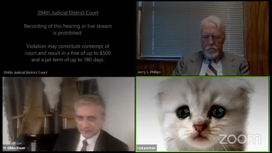 El abogado que sin querer utilizó un filtro de gato en zoom. LOL