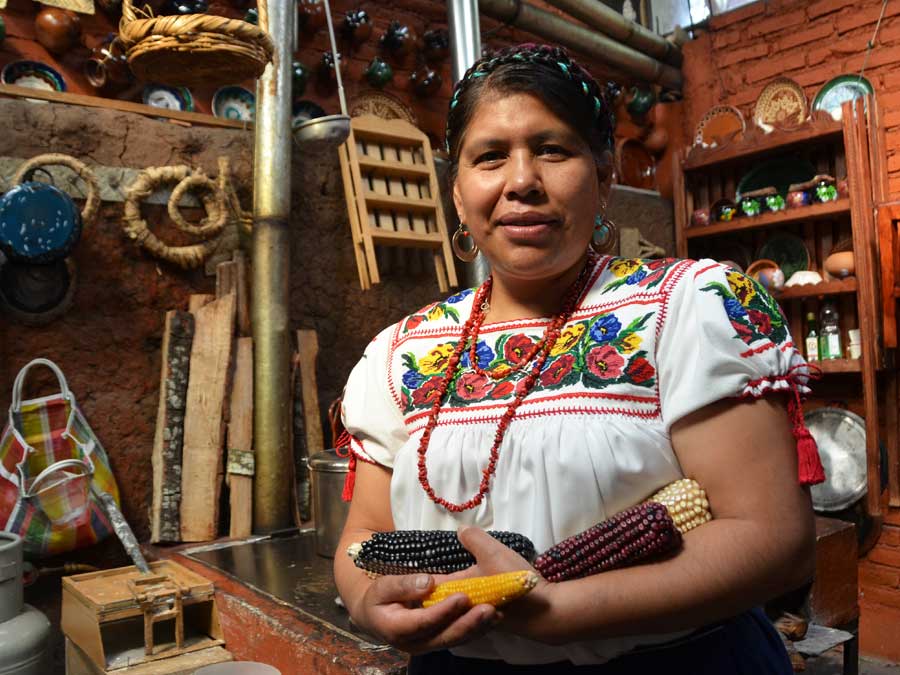  Cocineras y escritoras se unen para rescatar la cocina tradicional mexicana